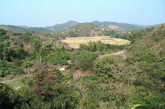 阴宅风水故事清代著名堪舆家蔡岷山公何以三代绝后